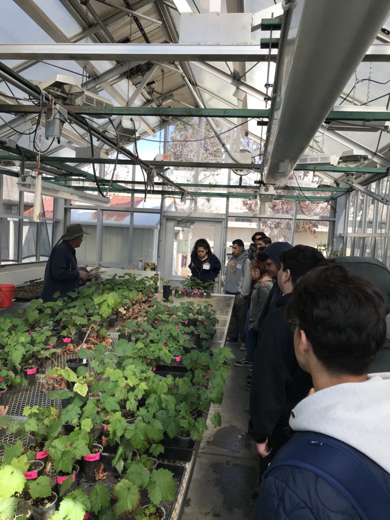 Cesar Zavalza tweet media