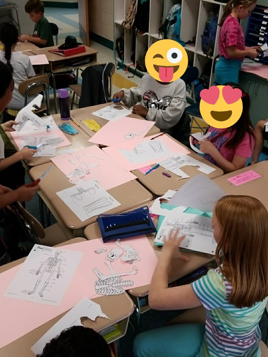 Building our skeletons learning about our skeletal system #apexelementary #5thgrade <a href="/apexescougars/">Apex Elementary</a>