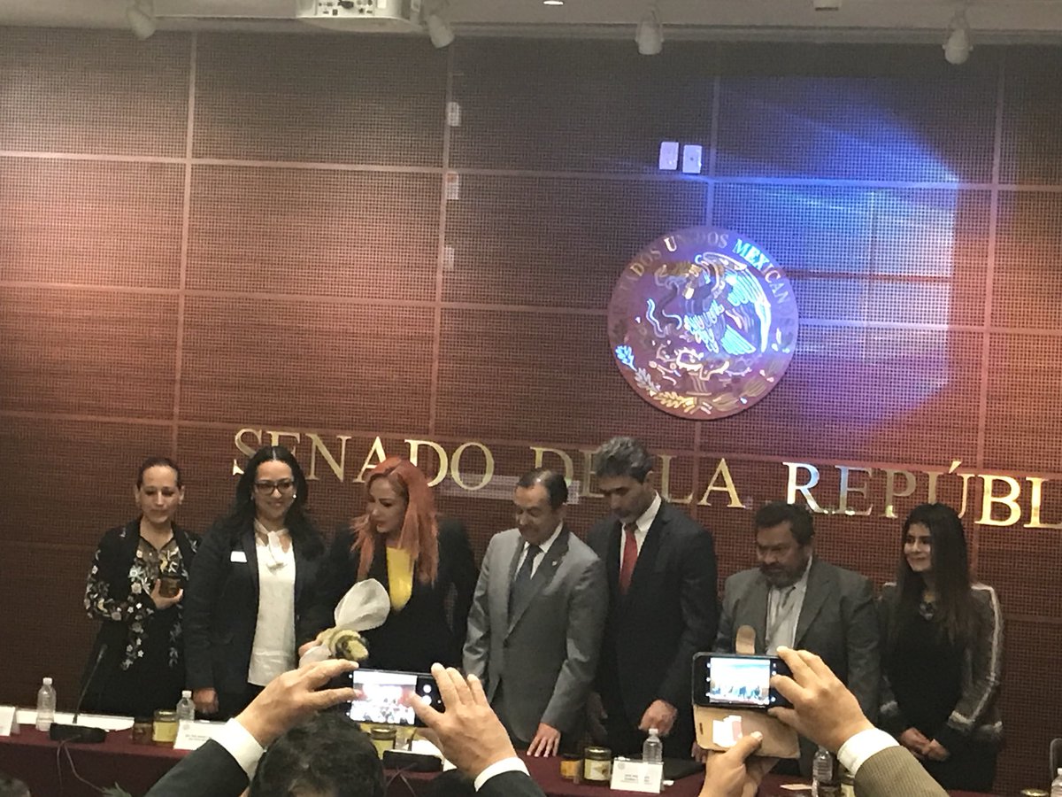 LicAlfre2prz's tweet photo. #PresenteyfuturodelaApiculturaenMexico @senadomexicano @Luissabeltran https://t.co/j19HzE99yf