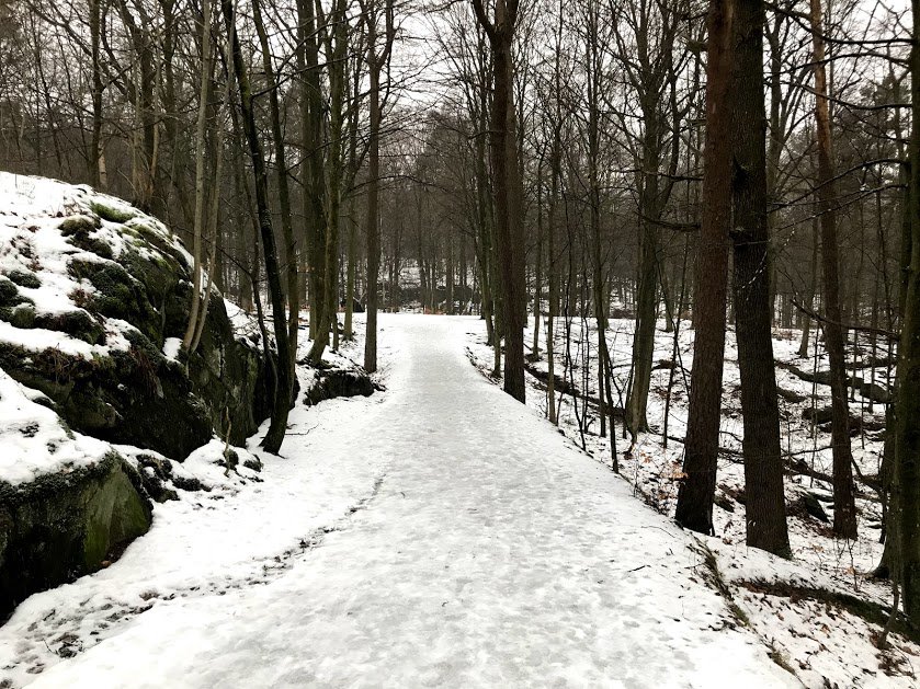 Februari: 116 kr till insamlingen <a href="/1krkm/">Insamlingen 1 kr/km</a> <a href="/Cancerfonden/">Cancerfonden</a>