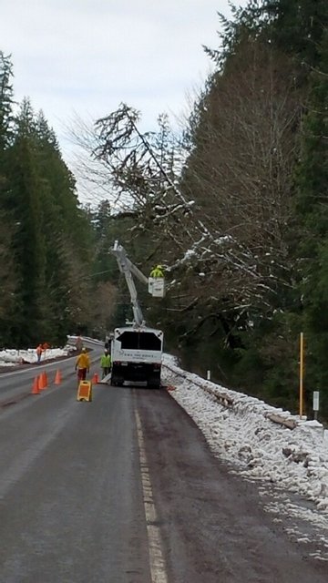 OregonDOT's tweet photo. After the storm, cleanup begins... Here's a photo of hazard tree removal on OR 126, MP 52 east of the #McKenzieBridge yesterday. https://t.co/OODsQSBIqd