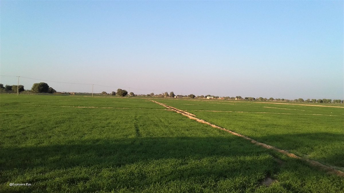 mansoormansay's tweet photo. Green Fields of Lasbela Valley, #Balochistan 
.
#Travel #Trip #ExplorerEye #Lassbela https://t.co/u88gTczDE5