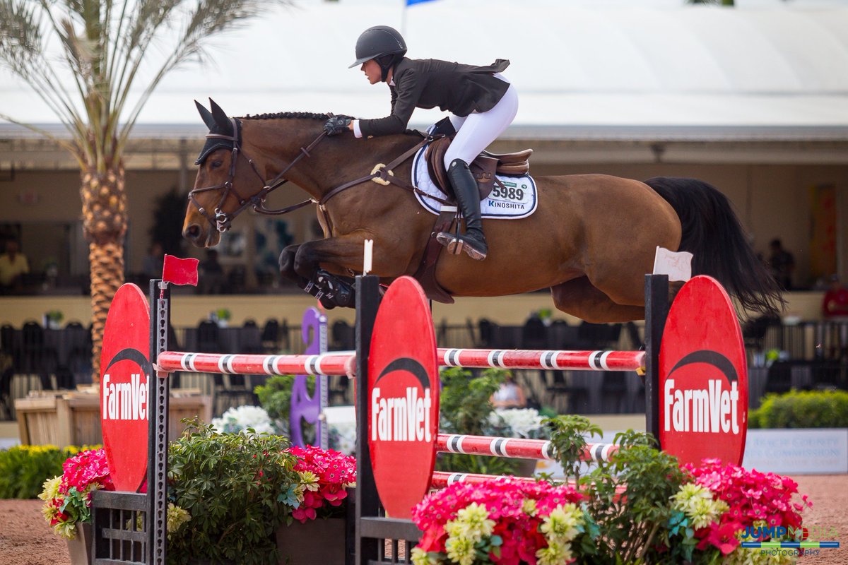 GandCFarm's tweet photo. Another #GandC graduate is in the ribbons at @ESP_WEF! Congratulations to G&amp;C Unicstar de L'aumone - now called Sari - and her new rider Karen Polle on a second-place finish in the $25,000 Proelite Jumper Classic today. PC:@jumpmediallc #GandCproud #GandCfarm https://t.co/5mUxM0JHEy