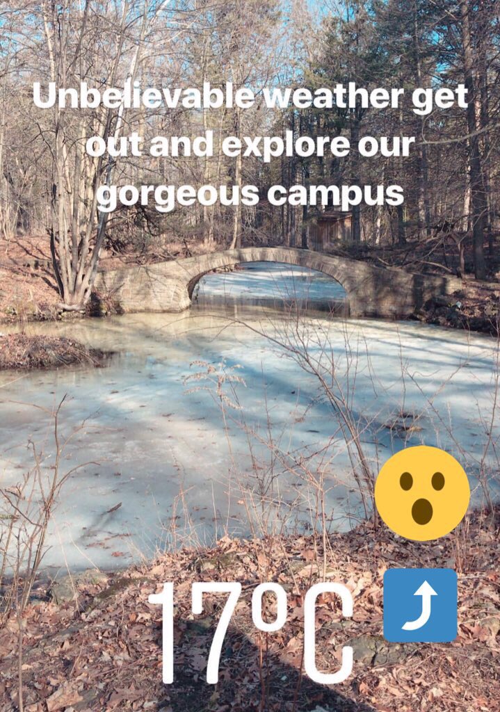 UofT_MMPA's tweet photo. Soaking in some sunshine before that next Canadian snowstorm #ExploreUofT #UTMtrails https://t.co/Pvx9wULTZP