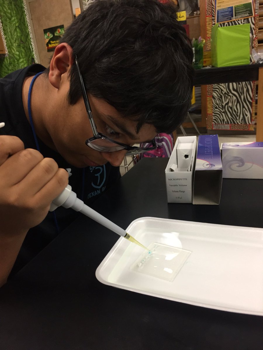 Queen_Nerdling's tweet photo. 9th period AP bio pipetting like champs!  #nerdling #queennerdling #TexanPride #OnlyTheBest https://t.co/wSHN5NTa8r