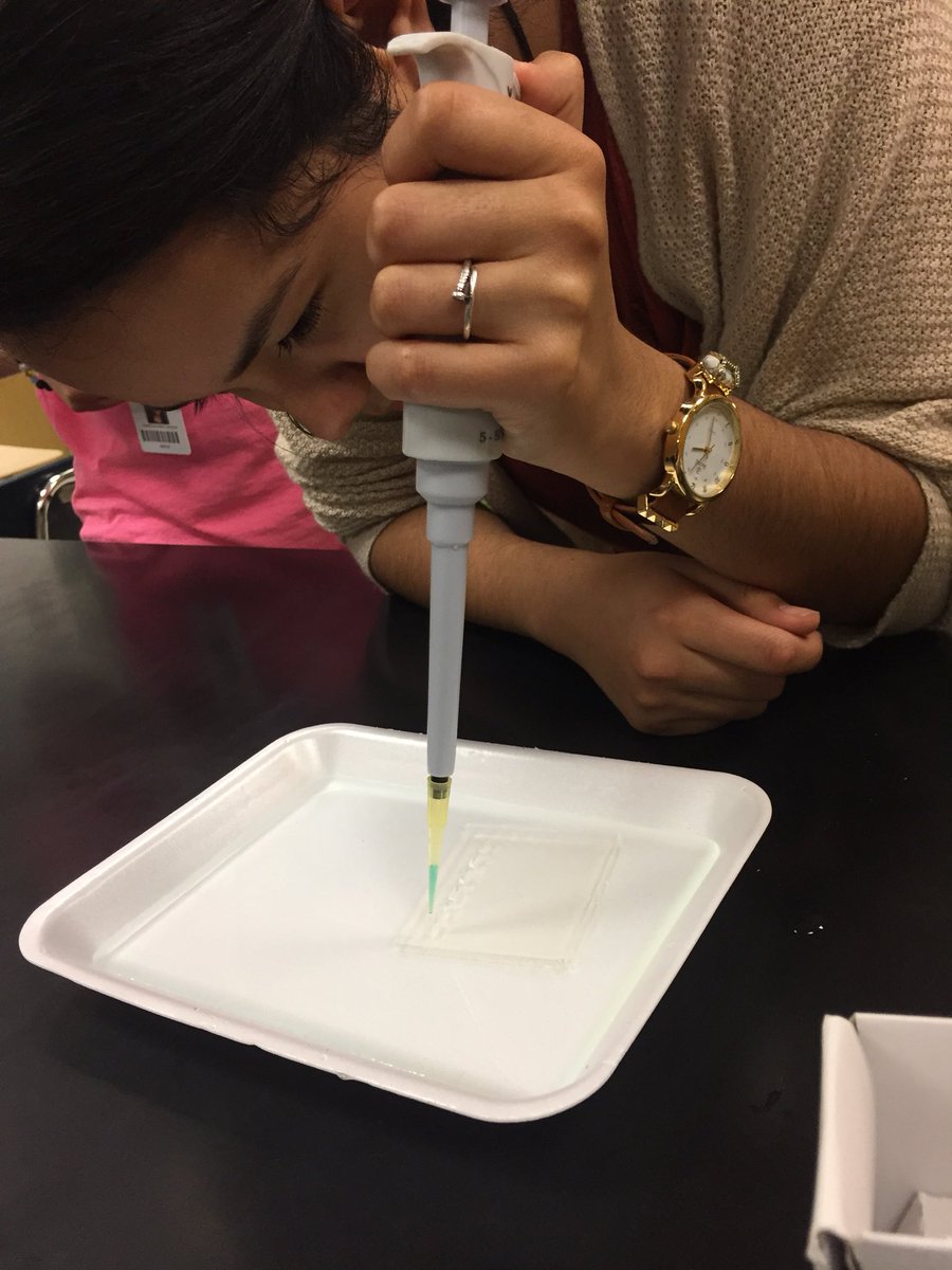 Queen_Nerdling's tweet photo. 9th period AP bio pipetting like champs!  #nerdling #queennerdling #TexanPride #OnlyTheBest https://t.co/wSHN5NTa8r