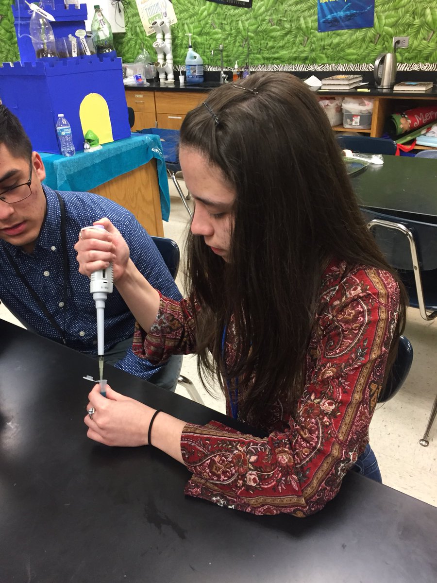 Queen_Nerdling's tweet photo. 9th period AP bio pipetting like champs!  #nerdling #queennerdling #TexanPride #OnlyTheBest https://t.co/wSHN5NTa8r