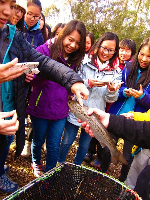 LanguageAdvance's tweet image. Why, hello there you fresh and delicious Tassie salmon! YYUMMM. :)

#languageadvance #culturalimmersion #culturalexchange #tesol #english #wanderlust #schooltravel #schoolgroup #studytour #tasmania #salmon #DiscoverTasmania #TassieStyle
