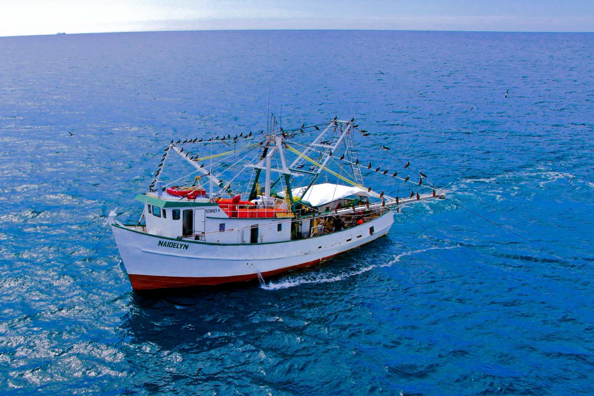 Agricultura_mex's tweet photo. México, sede de la Cumbre Mundial del Océano 2018
En este foro se busca generar soluciones en temas de contaminación, cambio climático y pesquerías sostenibles. 🐟🌊🚢 
https://t.co/H5Xp7i8AMX https://t.co/xzJJME4119