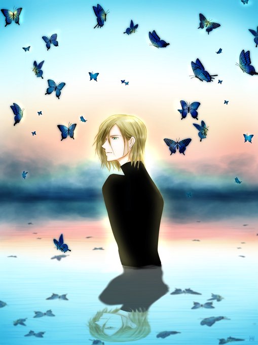 美しい蝶のtwitterイラスト検索結果 古い順