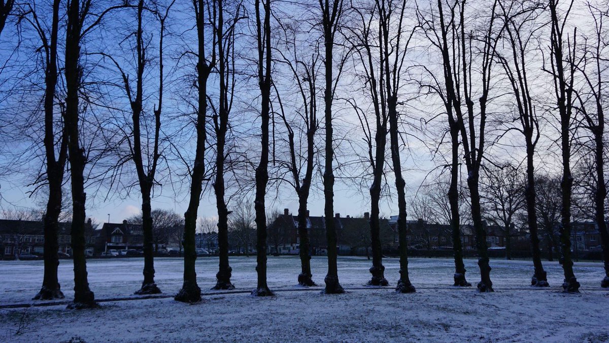 Ashburton Hall tweet media