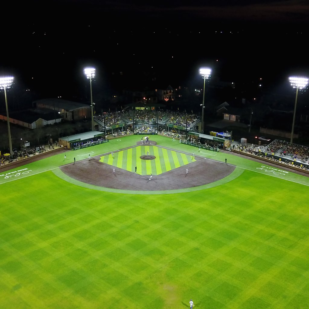 GeoSurfaces's tweet photo. @Lions_Baseball @LSUbaseball @GeoSurfaces #GeoSportLighting #LED https://t.co/sxd1PVK6ql
