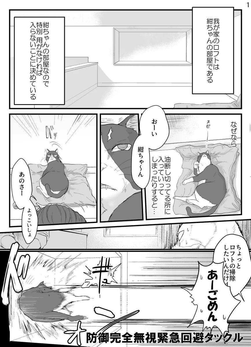 自分の聖域にはいることは許さない！飼い主の扱いに慣れている猫ｗｗｗ