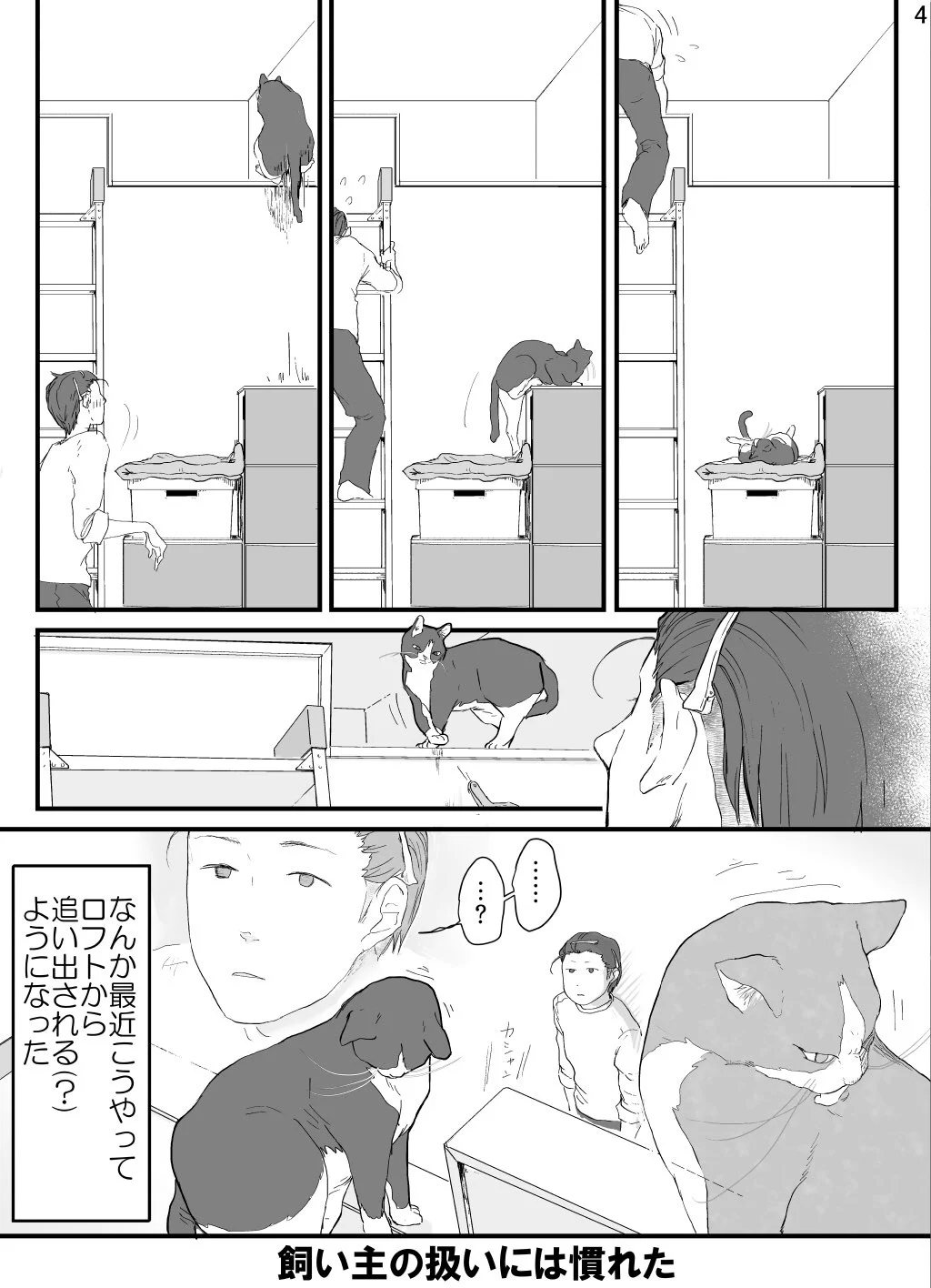 自分の聖域にはいることは許さない！飼い主の扱いに慣れている猫ｗｗｗ