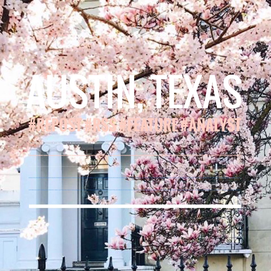 JasonPowers20's tweet photo. Woke up with the desire to go Sakura hunting in Japan! 🌸 桜 🇯🇵 桜 🌸 • • #JDM  #nature  #happiness  #spring   #桜  #love  #japan  #trees  #springtime  #triptime  #planneraddict  #p ̢̩̗̦̘̲̦̈ͣ̿̓ͭ̚
Austin, Texas

#repost #rss #feature #analyst https://t.co/mgNDuIeDm6