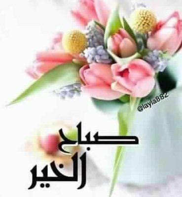 الفـجر ؛ بدايـات هـادئـة واذآن يسـكُن الـروح ودعـوات تُـرفع للسـماء , ربـّي اجـعل يـومَنا كلـه خيـر ...