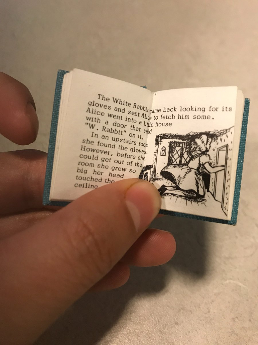 Noeliloz's tweet photo. The smallest book I’ve ever seen 😊 #eng178 https://t.co/qgd0lUSLqQ