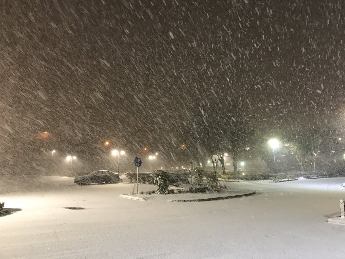auldgrump's tweet photo. #StormEmma thanks @AerLingus , now sitting at home drinking wine and watching the storm.🍷⛈ https://t.co/3VBTDEM4Gp