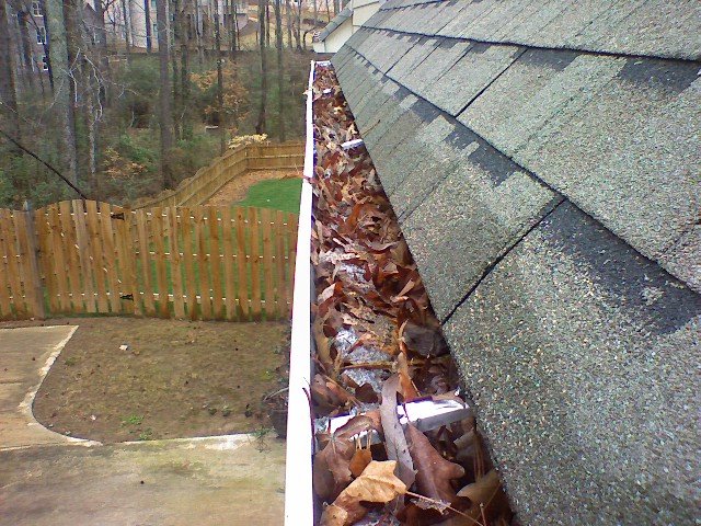 ECO_Disaster tweet picture