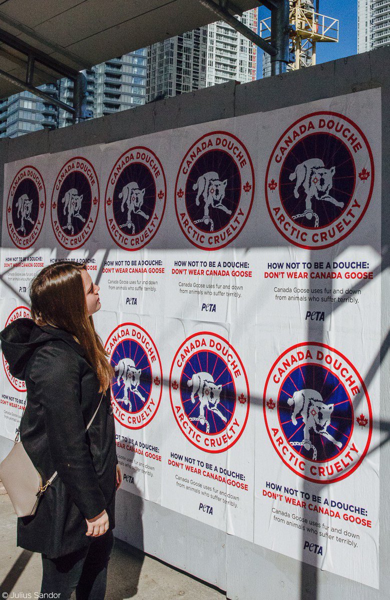PETA supporters just blanketed #Toronto with posters showing everyone how they can avoid being a #CanadaDouche. peta.vg/263v CC: @CanadaGooseInc