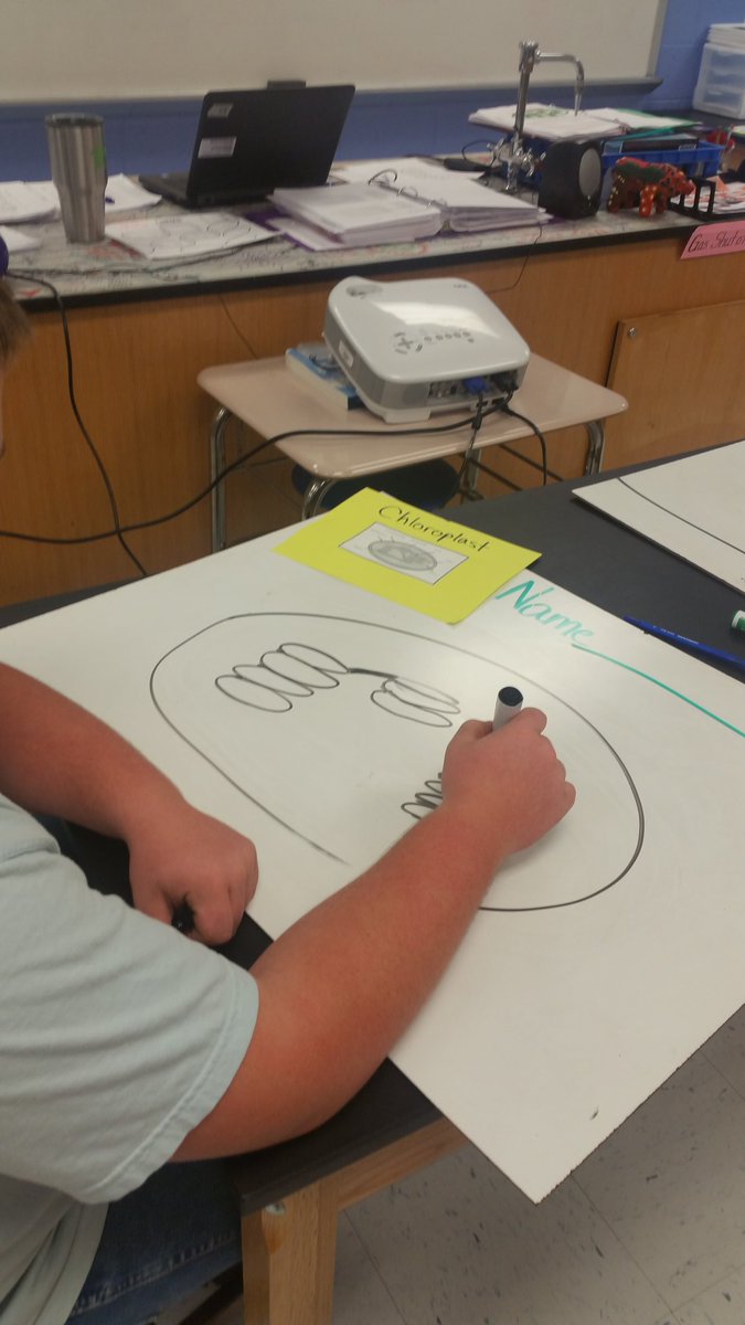 krob5570's tweet photo. It all goes down in the chloroplast! #chloroplast #cpbiology #ahsengagement https://t.co/3Z59ZQeqyX