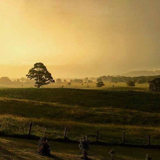 _Brookfarm_'s tweet photo. AUTUMN 🍂🍃🍂 repost from our friends @100miletable 
Grateful for the land we live on #bundjalungcountry #byronbay #brookfarm #macadamiafarm #grateful https://t.co/0uF7RoVrmL https://t.co/EvZSmdTB63