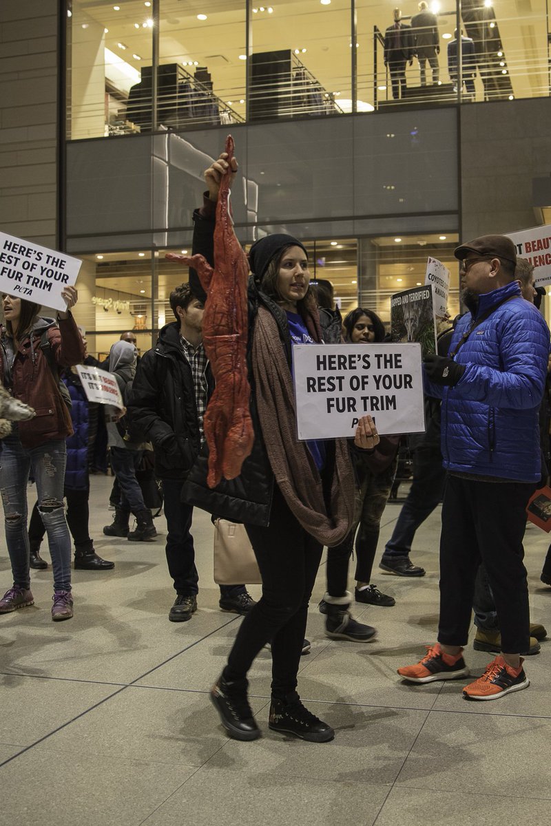 Compassionate people everywhere are taking a stand for coyotes who are painfully trapped &amp; killed for their fur by @CanadaGooseInc ✊ Join us! peta.vg/264b
