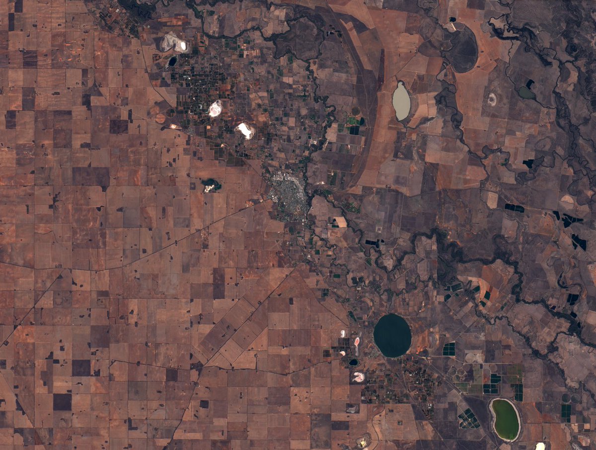 paul_haesler's tweet image. Swan Hill on the Murray River, 23rd Jan 2018.

Landsat 8, USGS Level 1 data.

#landsat8 #satellite #cloudfree #Murray #SwanHill