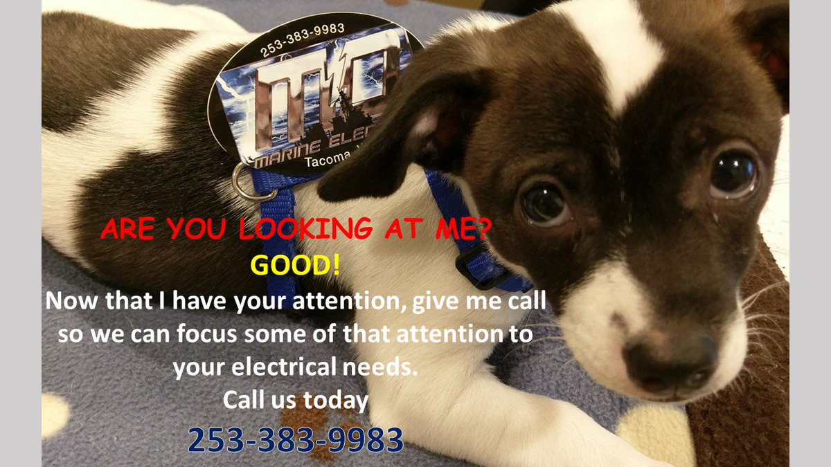 mdmarineelectric.com