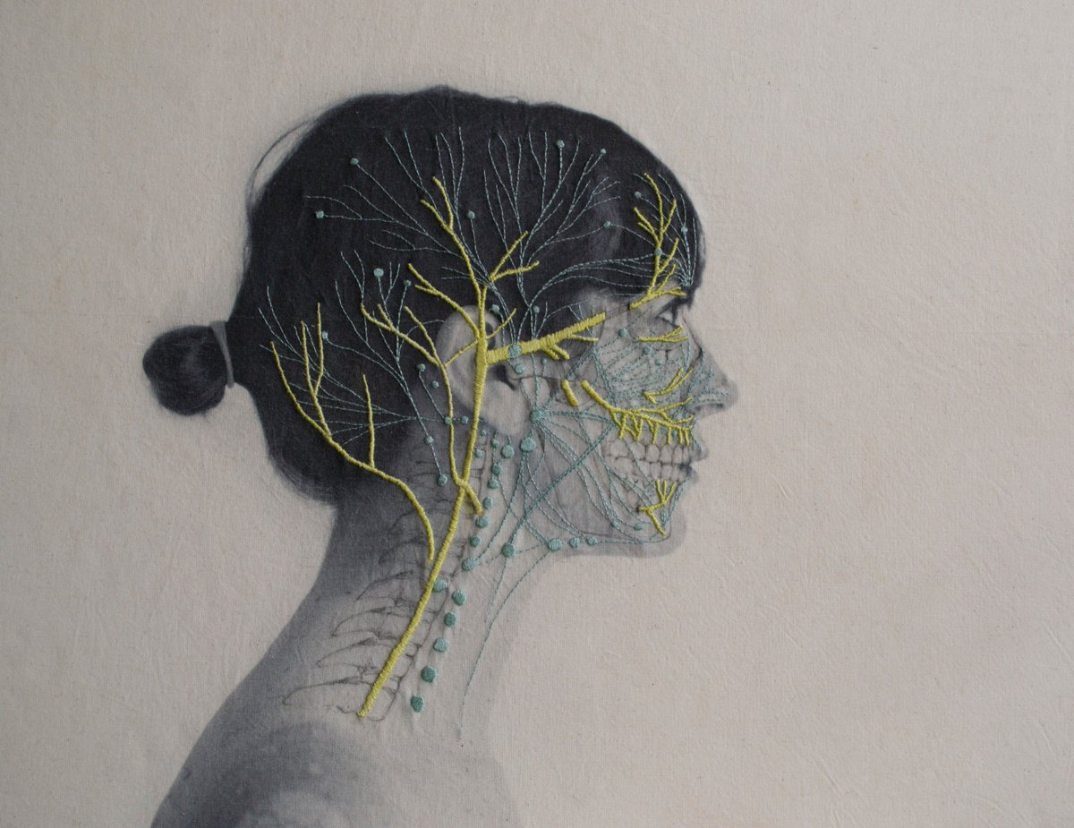 thisiscolossal's tweet photo. Self Portraits Embroidered With Images of Blood Vessels, Bones, and Muscle Tissue by Juana Gómez https://t.co/Fo7vus9zpF https://t.co/WYU1FC1lcz