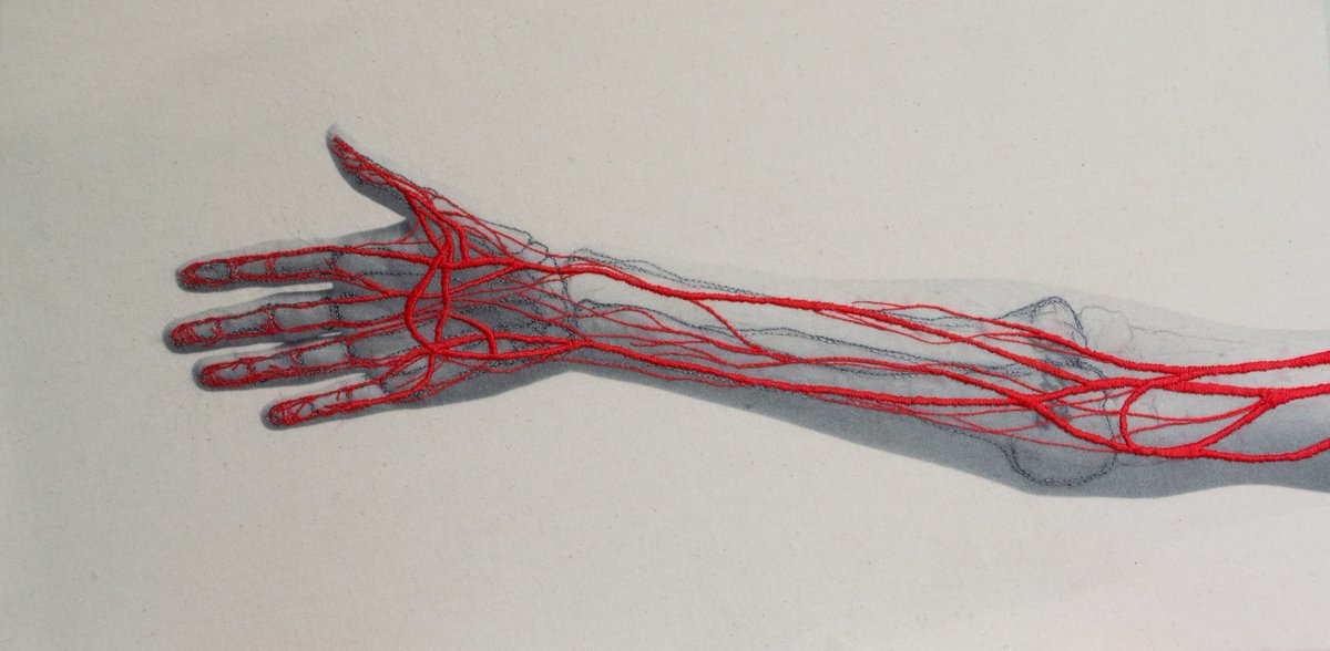 thisiscolossal's tweet photo. Self Portraits Embroidered With Images of Blood Vessels, Bones, and Muscle Tissue by Juana Gómez https://t.co/Fo7vus9zpF https://t.co/WYU1FC1lcz