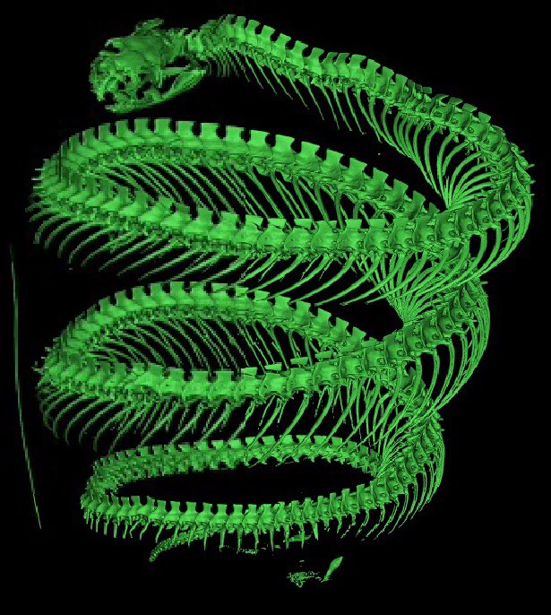 Sara Ruane on Twitter: