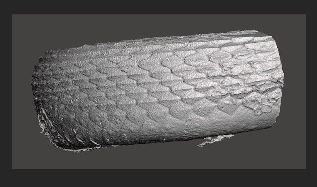 Sara Ruane on Twitter: