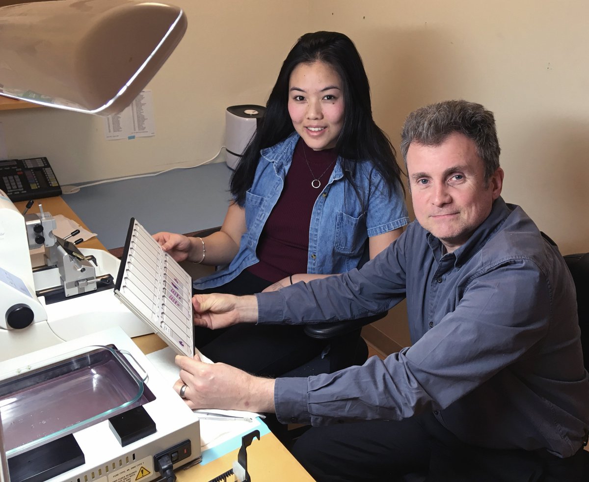 LabAllyLLC's tweet image. Last day in Lab-Ally with our High School Intern from Olentangy Liberty! Wishing her good luck in all her future aspirations. Thanks for your assistance with #CERF, our #IHC/#ISH #histology projects, keeping the office cheerful and more.