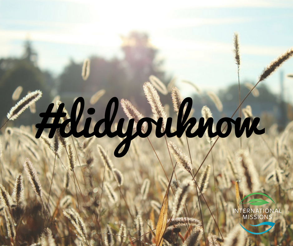 PAOCMissions's tweet photo. In the last 100 years, we have seen over 50,000 churches planted, nearly 40,000 workers released into the harvest field, and over 12 million people find their way back to God.
#didyouknow #paocmissions #100pol #statsfriday #100pointsoflight #whowillgo #sending100 @STMnetwork https://t.co/5l1Mw3tch4