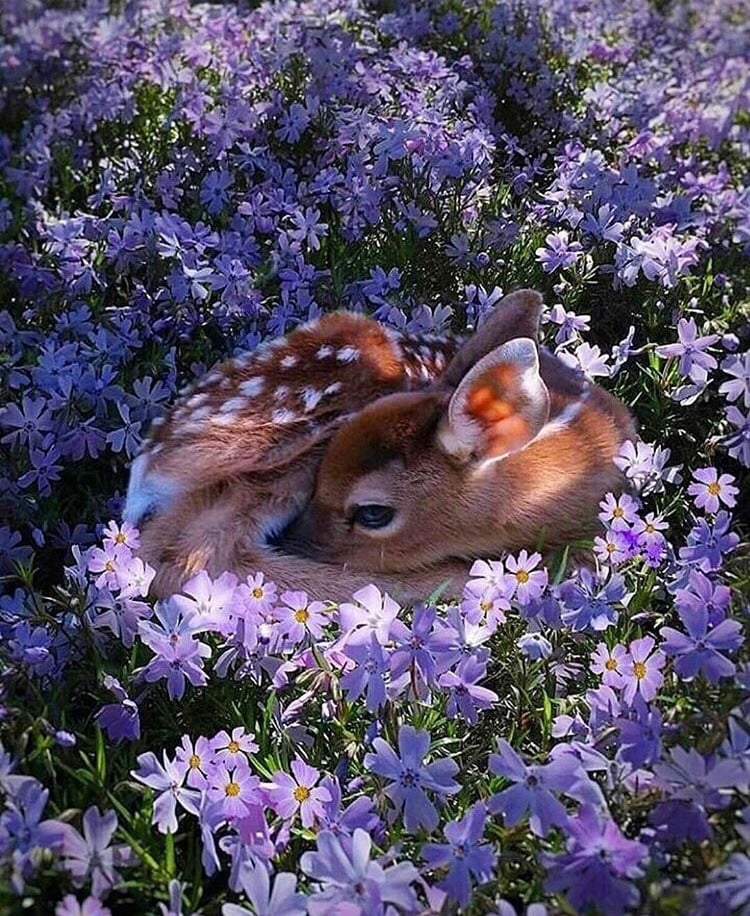 emi 🍒 tweet media