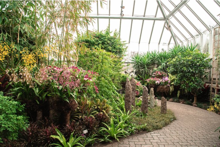 chicagobotanic's tweet photo. Pagoda Red spoke with Gabriel Hutchison, Exhibitions and Programs Production Manager, about how he translated Asian inspiration into modern installations in Asia in Bloom: The Orchid Show. https://t.co/Y1dOaNgmeR #CBGOrchidShow @PagodaRed https://t.co/J3IMWxkbS0