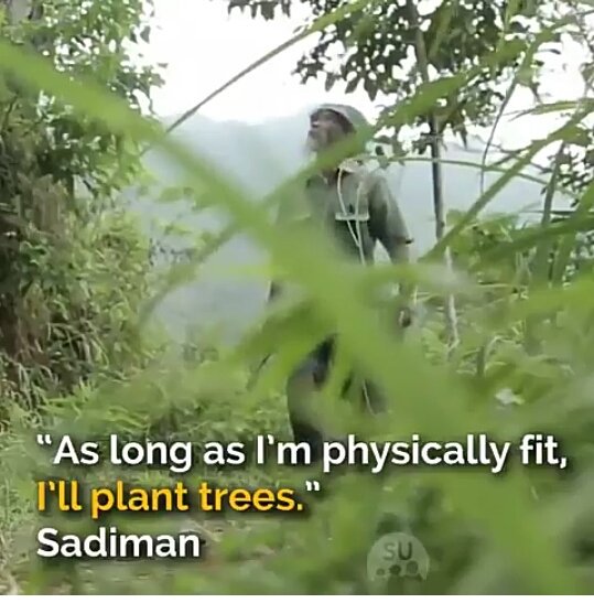 LusiHQ's tweet image. Pak Sadiman bisa dijuluki THE TREE MAN krn selama lebih dr 20 tahun beliau mendedikasikan hidupnya dgn menanam pohon di lahan tandus bekas kebakaran hutan.

Retweet ya guys, untuk memberi penghargaan kepada bapak SADIMAN.