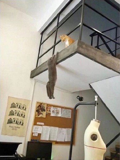 TV Azteca Guate tweet media