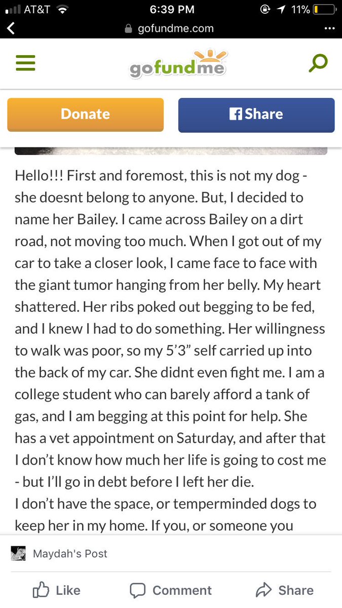 ᴍʏᴅᴀ tweet media