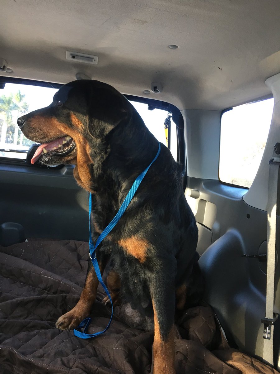 ᴍʏᴅᴀ tweet media