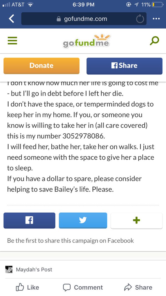 ᴍʏᴅᴀ tweet media