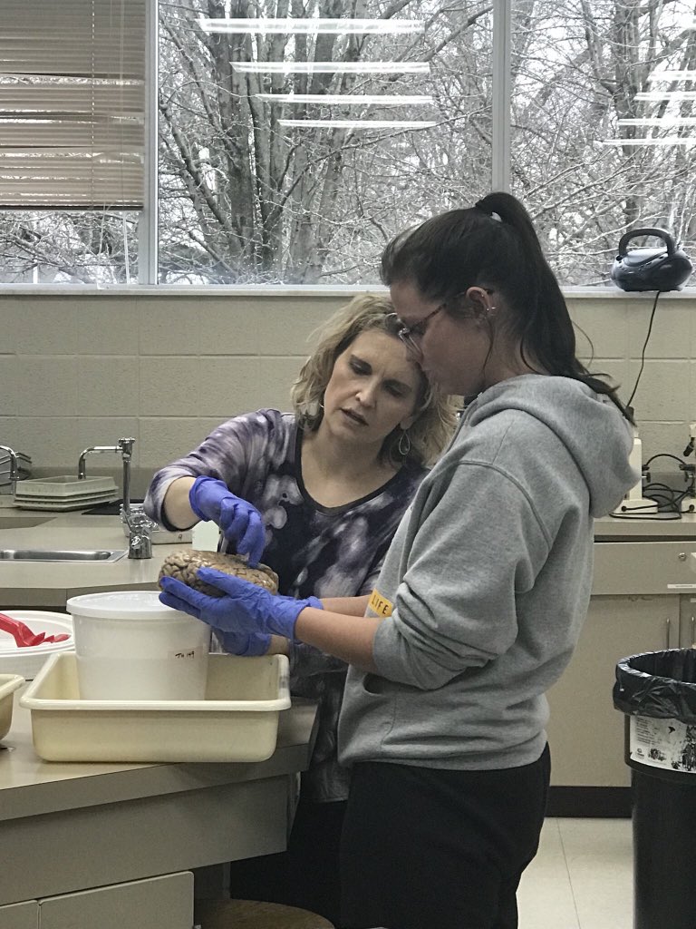 SWESTSCHOOLS's tweet photo. Studying the BRAIN today...thanks Dr Mowery!!! https://t.co/j5fPdIeOdB