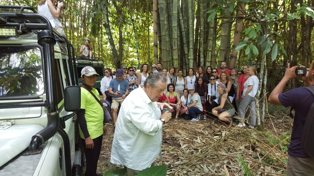 Explore the nature of Bali with Bali Jeep Tours balijeeptour.com