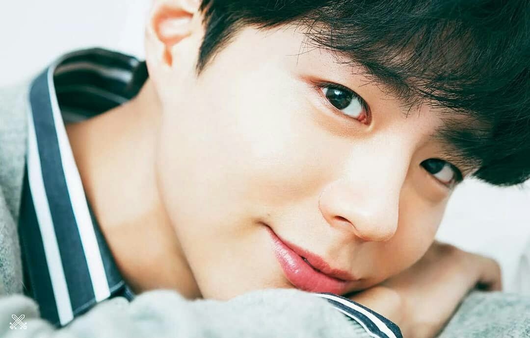 boyoopics's tweet photo. Japanese magazine 'eclat'April 2018 #ParkBoGum #BOGUMMY #박보검 https://t.co/tXX7DuHDB8