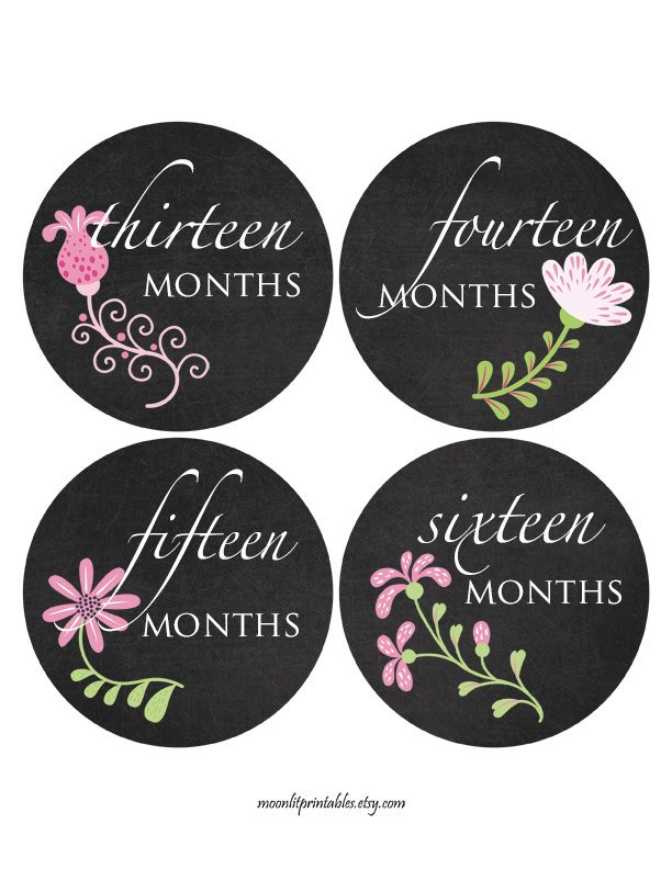 moonlitprints's tweet photo. Chalkboard Toddler Girl Stickers, Toddler Photo Props, Baby Age Stickers, Monthly Baby Stickers, Baby Gift, Document Baby’s Milestones (133) https://t.co/XwtR8da2Gz #MoonLitPrintables #Etsy #MonthlyBabySticker https://t.co/YXl742jpQj