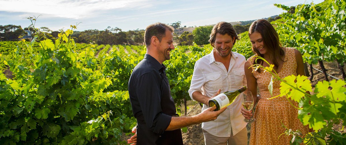 SB_limo's tweet photo. From the tasting rooms in the city to the green rolling vineyards of the countryside — these are our top picks for the best wine-tasting adventures in Southern California! https://t.co/K8fwrtR4NX

#californiawine #santabarbara #winetour #winecountry https://t.co/pY5XtBdJFr
