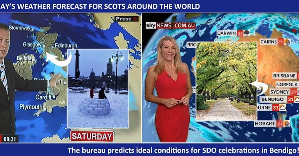 ScotsDayOut tweet media