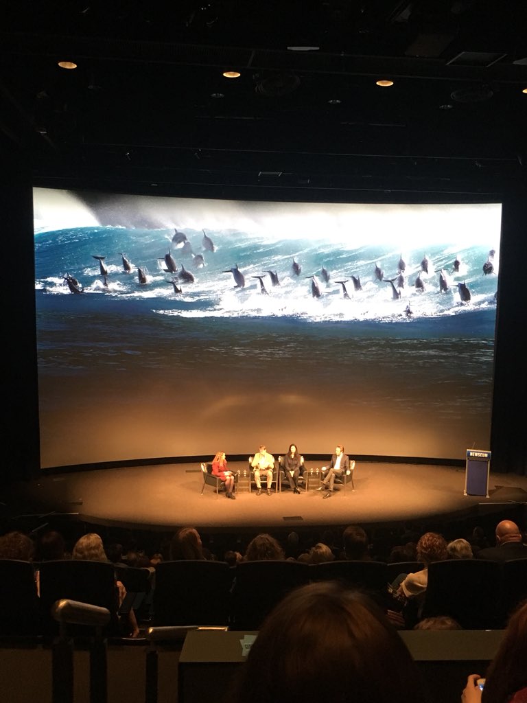 Arctic 21 tweet media