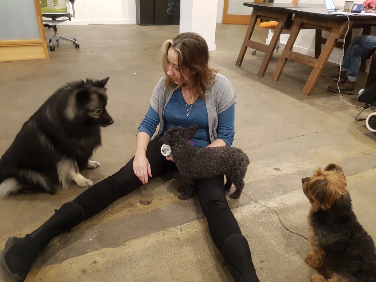 rogue_oiler's tweet photo. Lunch and Learn with Dee @subcultureatCC #coworking #CreativeCoworkers #dogsofcoworking https://t.co/HEDf7rLFW0